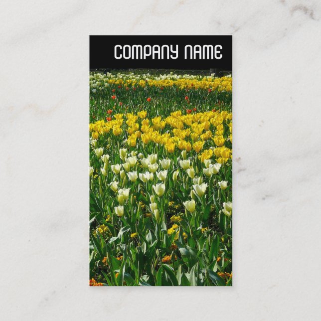 Tarjeta De Visita Encabezado V - Flores de primavera (Anverso)