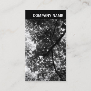 Tarjeta De Visita Encabezado V - Foto - Árboles en primavera