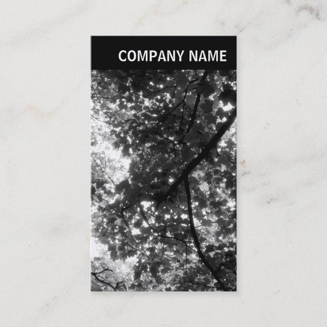 Tarjeta De Visita Encabezado V - Foto - Árboles en primavera (Anverso)