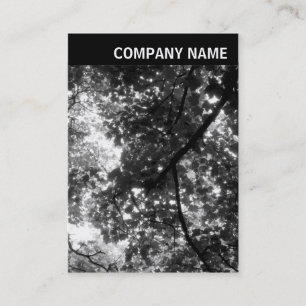 Tarjeta De Visita Encabezado V - Foto - Árboles en primavera