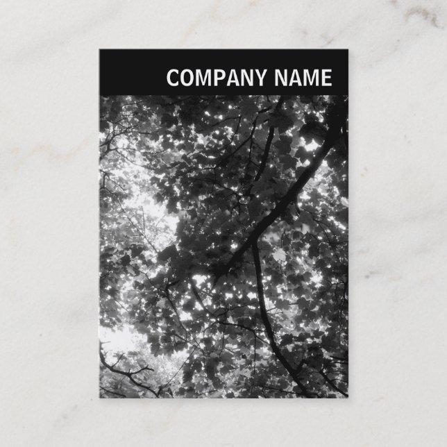 Tarjeta De Visita Encabezado V - Foto - Árboles en primavera (Anverso)