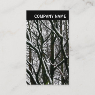 Tarjeta De Visita Encabezado V - Foto - Branches de invierno