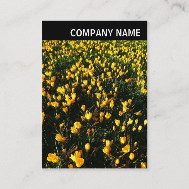 Tarjeta De Visita Encabezado V - Foto - Crocuses (Anverso)