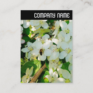 Tarjeta De Visita Encabezado V - Haciendo miel