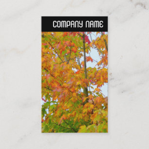 Tarjeta De Visita Encabezado V - Hojas de otoño