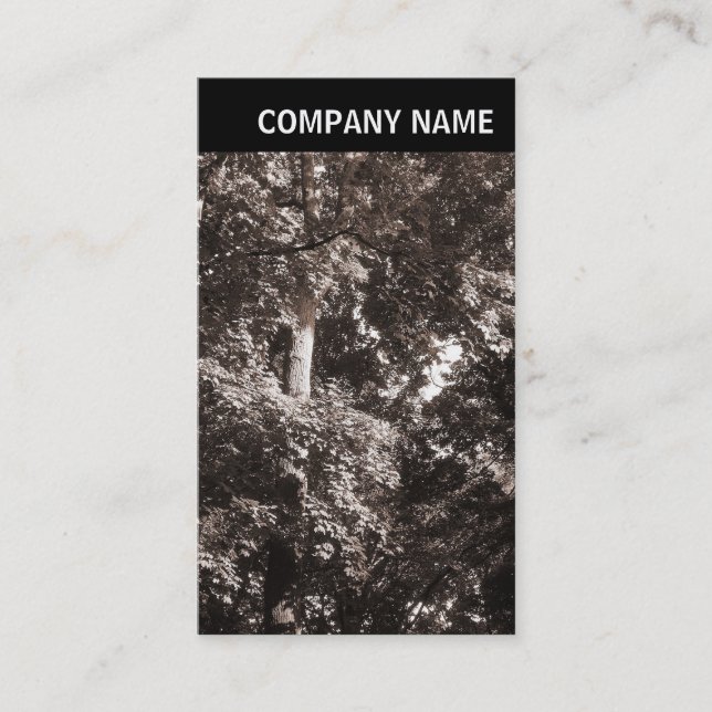 Tarjeta De Visita Encabezado V - Imagen - Árboles de avión (Anverso)