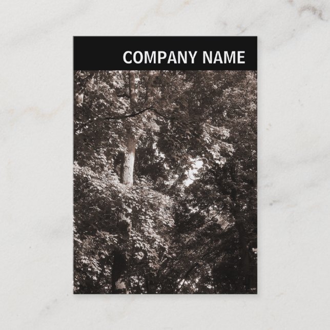 Tarjeta De Visita Encabezado V - Imagen - Árboles de avión (Anverso)