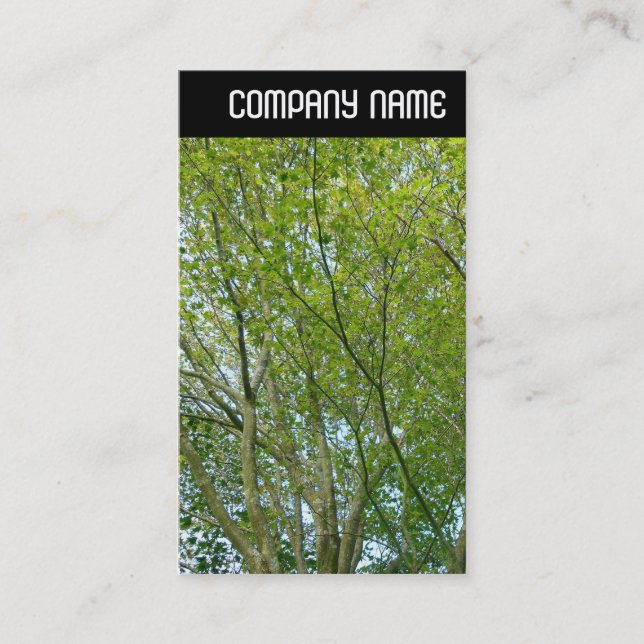 Tarjeta De Visita Encabezado V - Maple japonés (Anverso)
