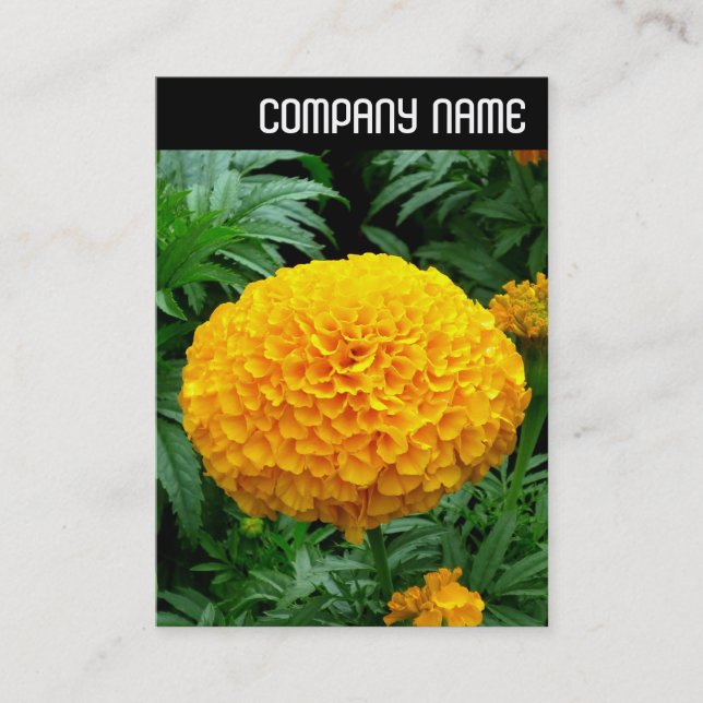 Tarjeta De Visita Encabezado V - Naranja Chrysanthemum (Anverso)