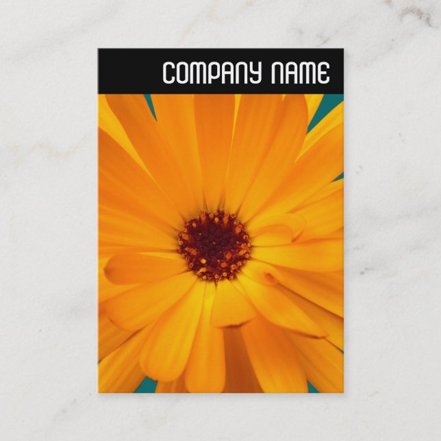 Tarjeta De Visita Encabezado V - Naranja Marigold (Anverso)