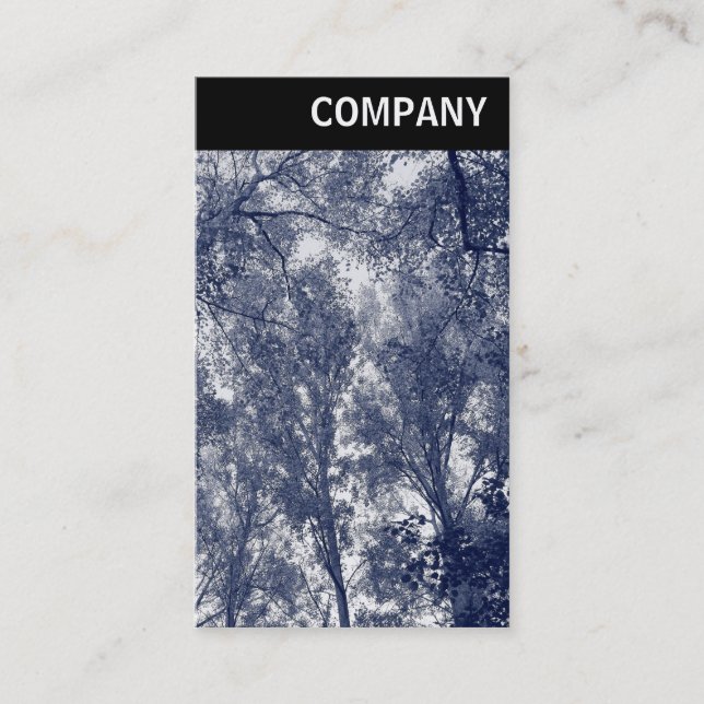 Tarjeta De Visita Encabezado V - Otoño Azul (Anverso)