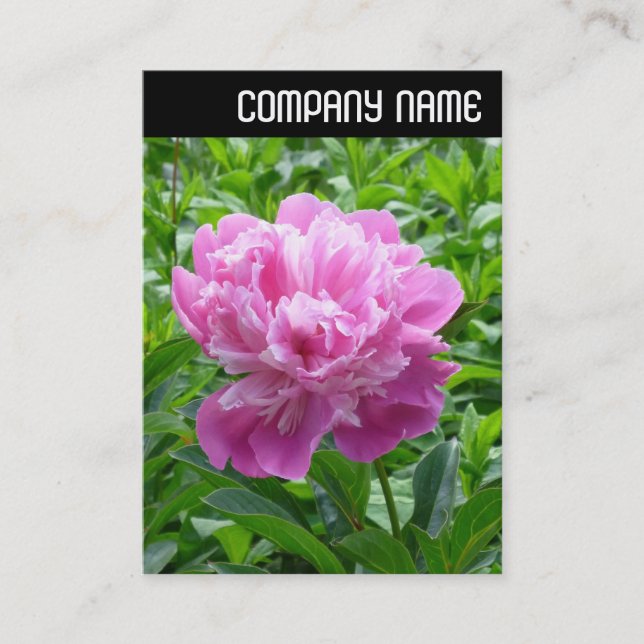 Tarjeta De Visita Encabezado V - Peony rosado (Anverso)