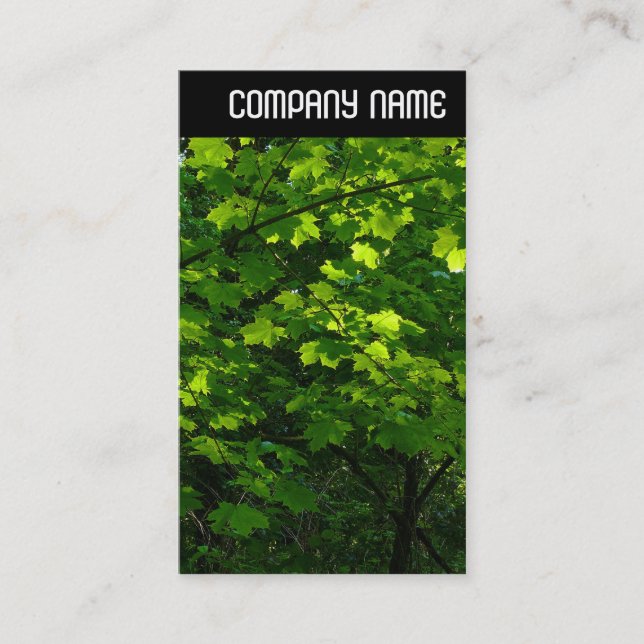 Tarjeta De Visita Encabezado V - Sale en primavera (Anverso)