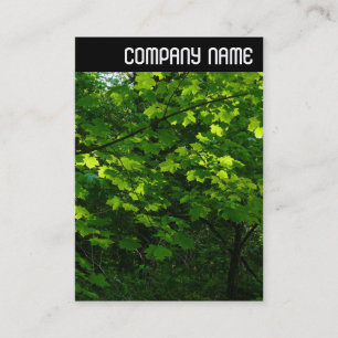 Tarjeta De Visita Encabezado V - Sale en primavera