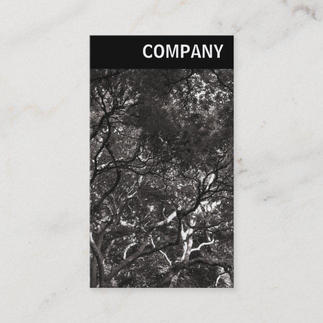 Tarjeta De Visita Encabezado V - Sucursales Japonesas 01 (Anverso)