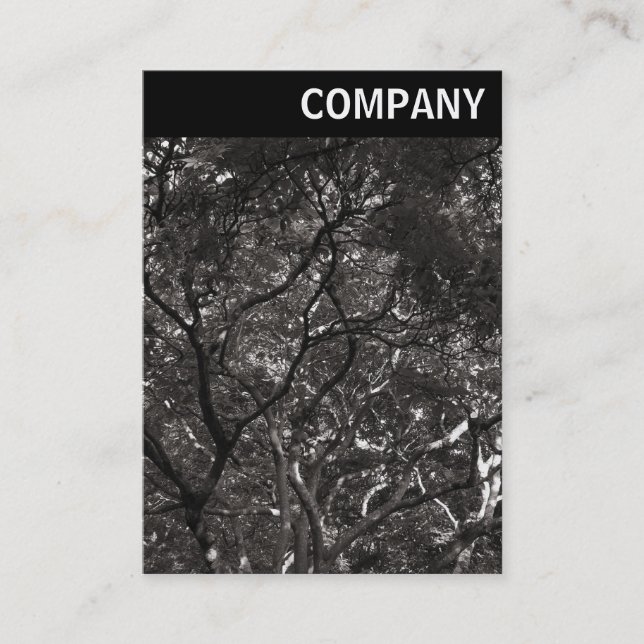 Tarjeta De Visita Encabezado V - Sucursales Japonesas 01 (Anverso)