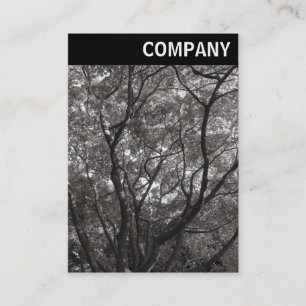 Tarjeta De Visita Encabezado V - Sucursales Japonesas 02