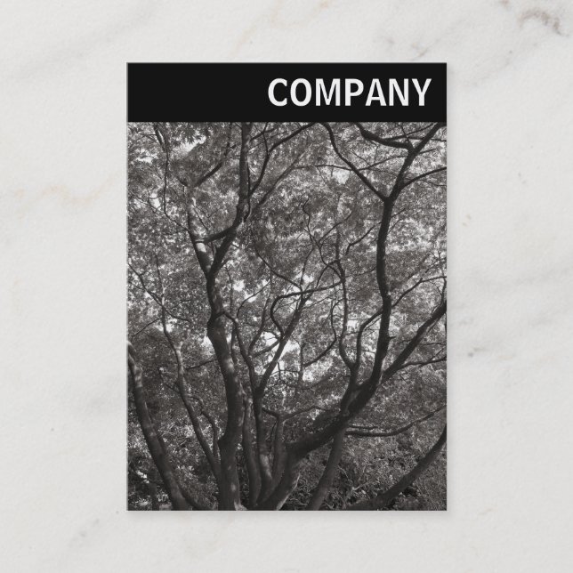 Tarjeta De Visita Encabezado V - Sucursales Japonesas 02 (Anverso)