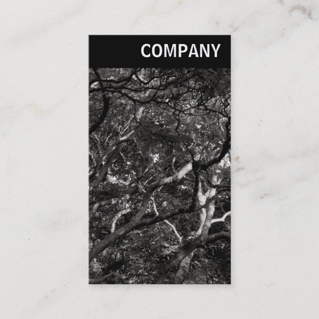 Tarjeta De Visita Encabezado V - Sucursales Japonesas 03 (Anverso)