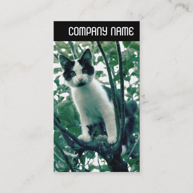 Tarjeta De Visita Encabezado V - Superfluidad de la nitidez (Anverso)