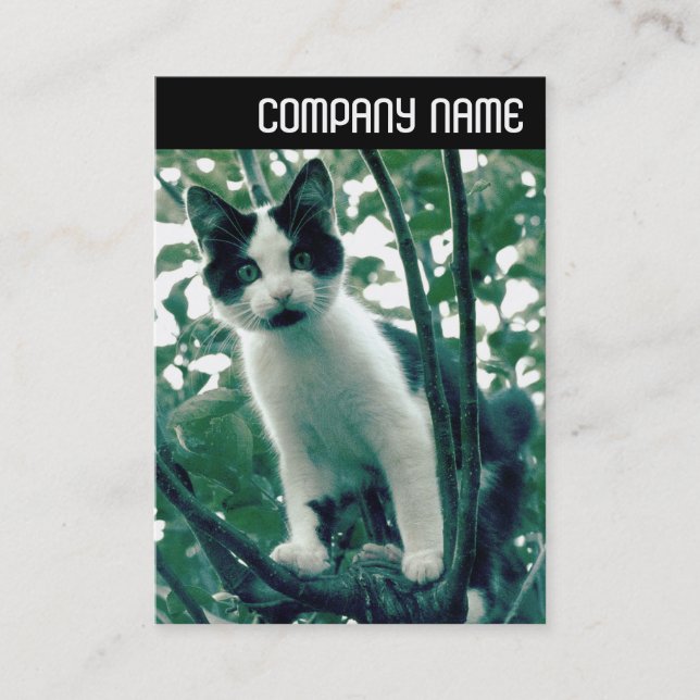 Tarjeta De Visita Encabezado V - Superfluidad de la nitidez (Anverso)