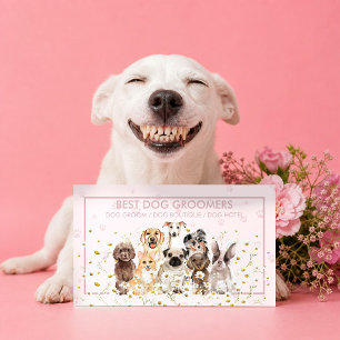 Tarjeta De Visita Entrenador de Cachorros Rosa Lecciones para Perros