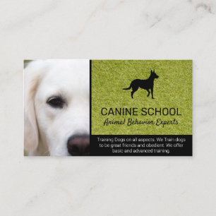Tarjeta De Visita Entrenador de perros   Comportamiento animal
