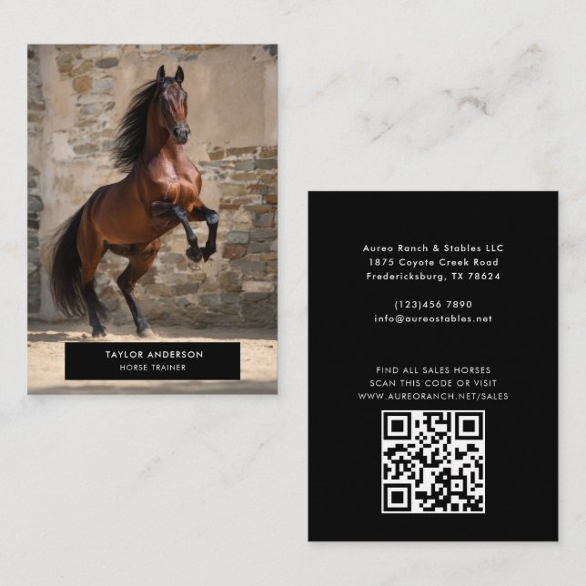 Tarjeta De Visita Equine Business Horse Trainer Equestrian Photo (Anverso / Reverso)