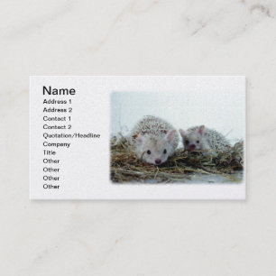 Tarjeta De Visita Erizos como mascotas