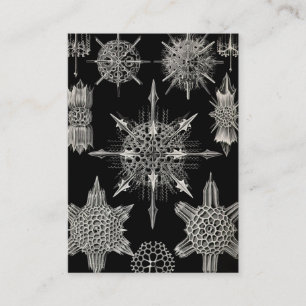 Tarjeta De Visita Ernst Haeckel el   Acanthophracta