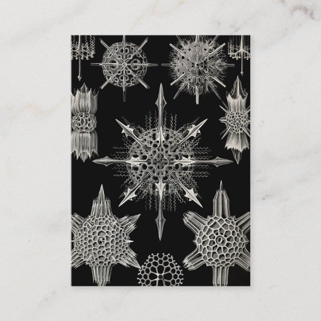 Tarjeta De Visita Ernst Haeckel el | Acanthophracta (Anverso)