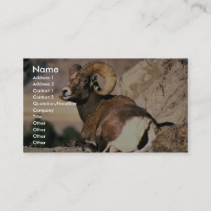 Tarjeta De Visita Espolón del Bighorn