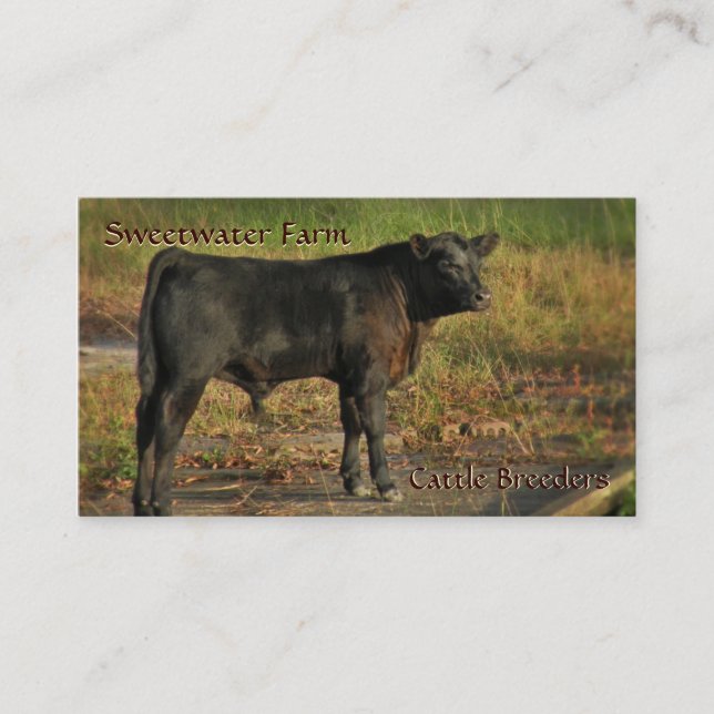 Tarjeta de visita estándar de la granja de Bull o (Anverso)