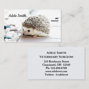 Tarjeta de visita estándar para veteranos Cuadros