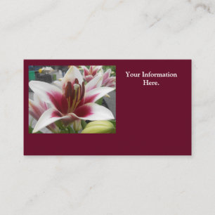 Tarjeta De Visita Estrella Gazer