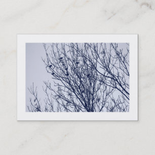 Tarjeta De Visita Estrellas en un árbol (bordeado)