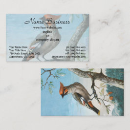 Tarjeta De Visita Estudio de aves de George Edwards (1694-1773)