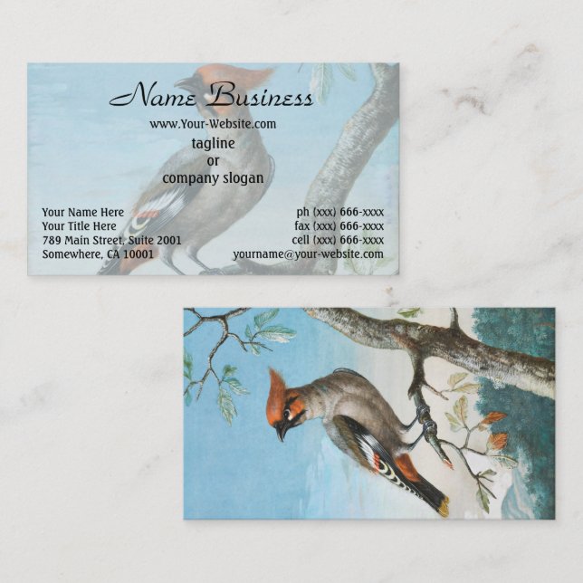 Tarjeta De Visita Estudio de aves de George Edwards (1694-1773) (Anverso / Reverso)