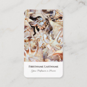 Tarjeta De Visita Expertos en agentes de viajes de vieiras marinas