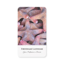 Expertos en viajes de estrella de mar marítimo