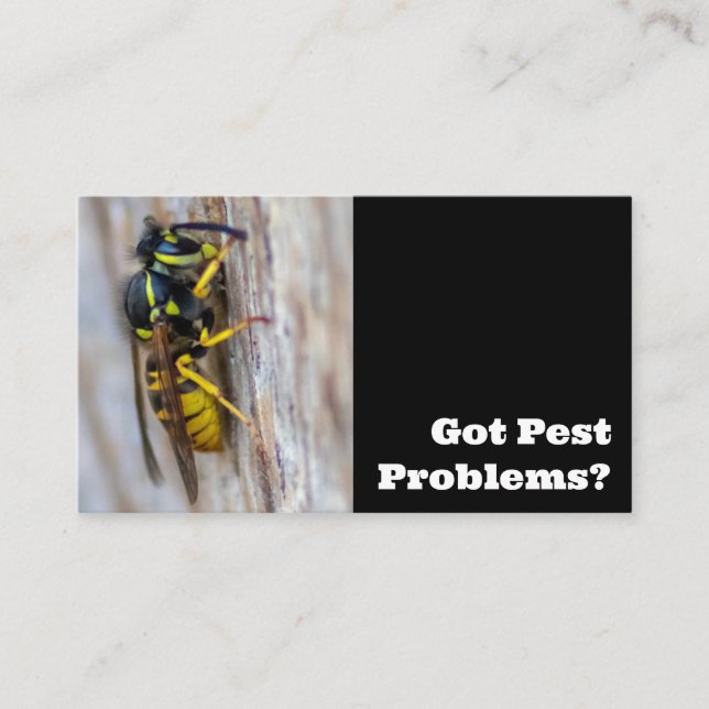 Tarjeta De Visita Exterminador de plagas para el control de plagas d (Anverso)