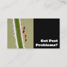 Exterminador de plagas para hormigas termitas cont