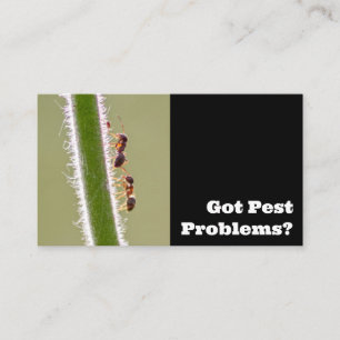 Tarjeta De Visita Exterminador de plagas para hormigas termitas cont