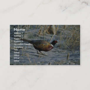 Tarjeta De Visita faisán Anillo-necked
