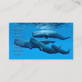 Tarjeta De Visita Familia Sperm Whale