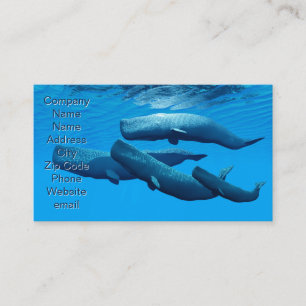 Tarjeta De Visita Familia Sperm Whale