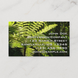 Tarjeta De Visita Fern arbolado en la selva tropical