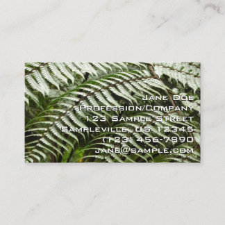 Tarjeta De Visita Fern Fronds II Naturaleza verde oscura