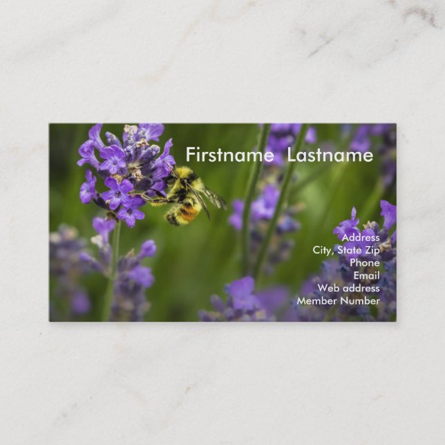 Tarjeta De Visita Fila de la lavanda (Anverso)
