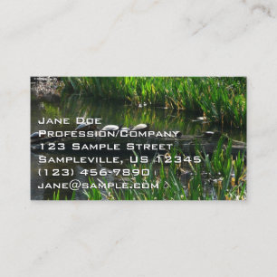 Tarjeta De Visita Fila de la naturaleza verde de las tortugas